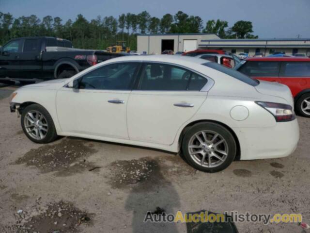 NISSAN MAXIMA S, 1N4AA5AP0DC800303