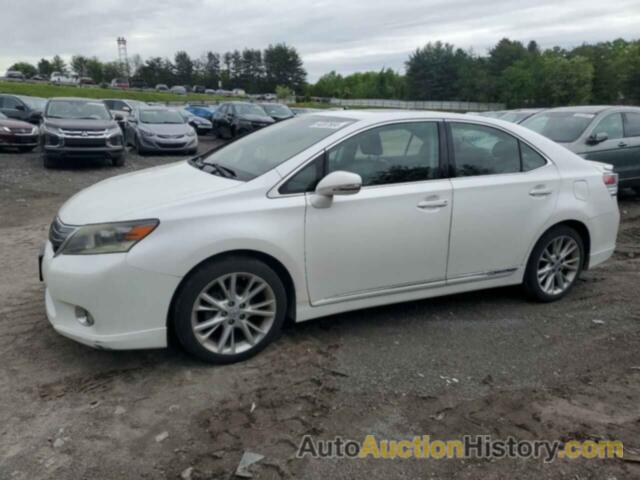 LEXUS HS 250H, JTHBB1BA1A2013987