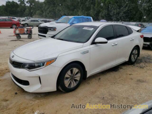 KIA OPTIMA HYBRID, KNAGT4LC2H5007434