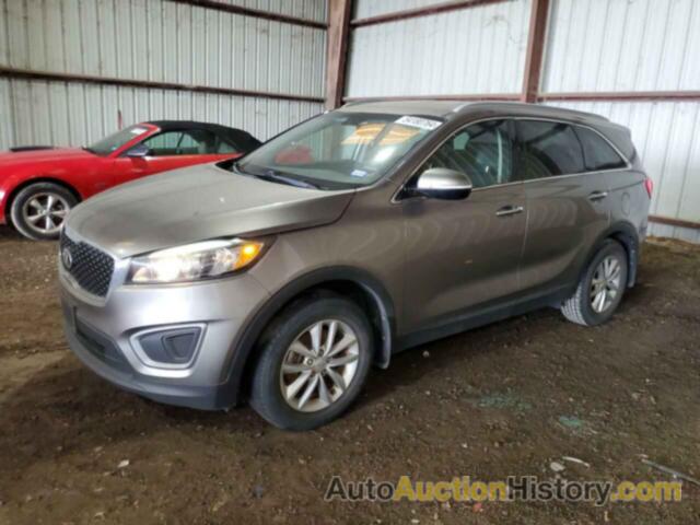 KIA SORENTO LX, 5XYPG4A36HG281267