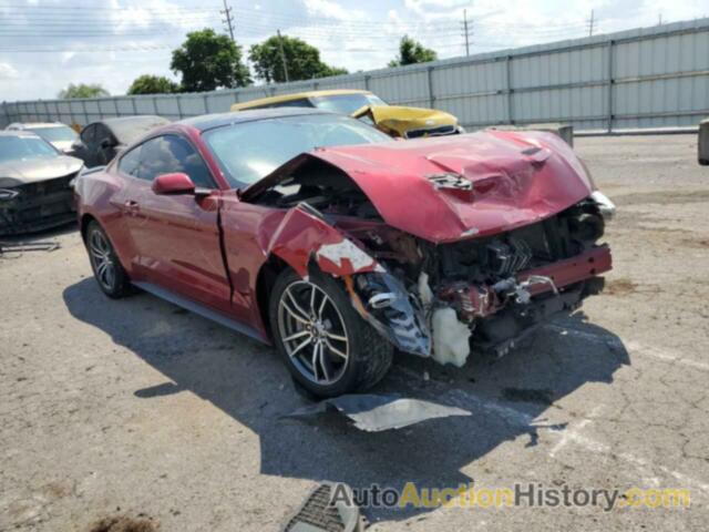 FORD MUSTANG GT, 1FA6P8CF8K5182496