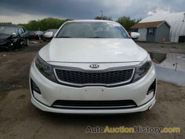 KIA OPTIMA HYBRID, KNAGN4AD4F5091159