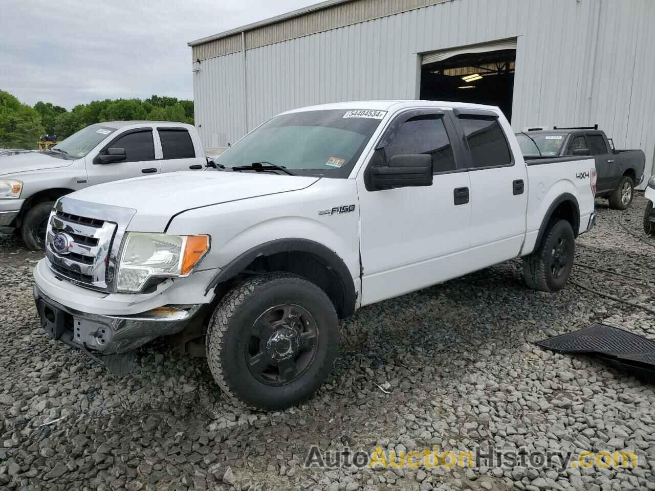 FORD F-150 SUPERCREW, 1FTEW1E82AFC42022