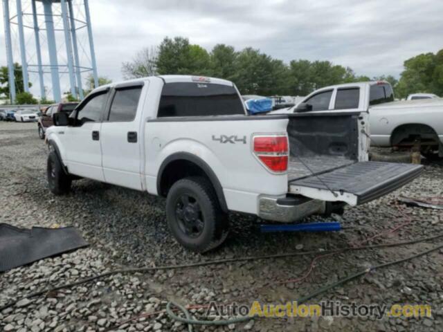 FORD F-150 SUPERCREW, 1FTEW1E82AFC42022