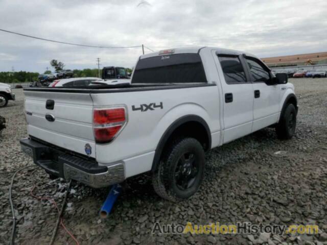 FORD F-150 SUPERCREW, 1FTEW1E82AFC42022