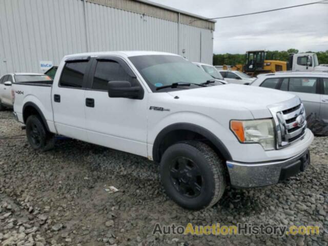 FORD F-150 SUPERCREW, 1FTEW1E82AFC42022