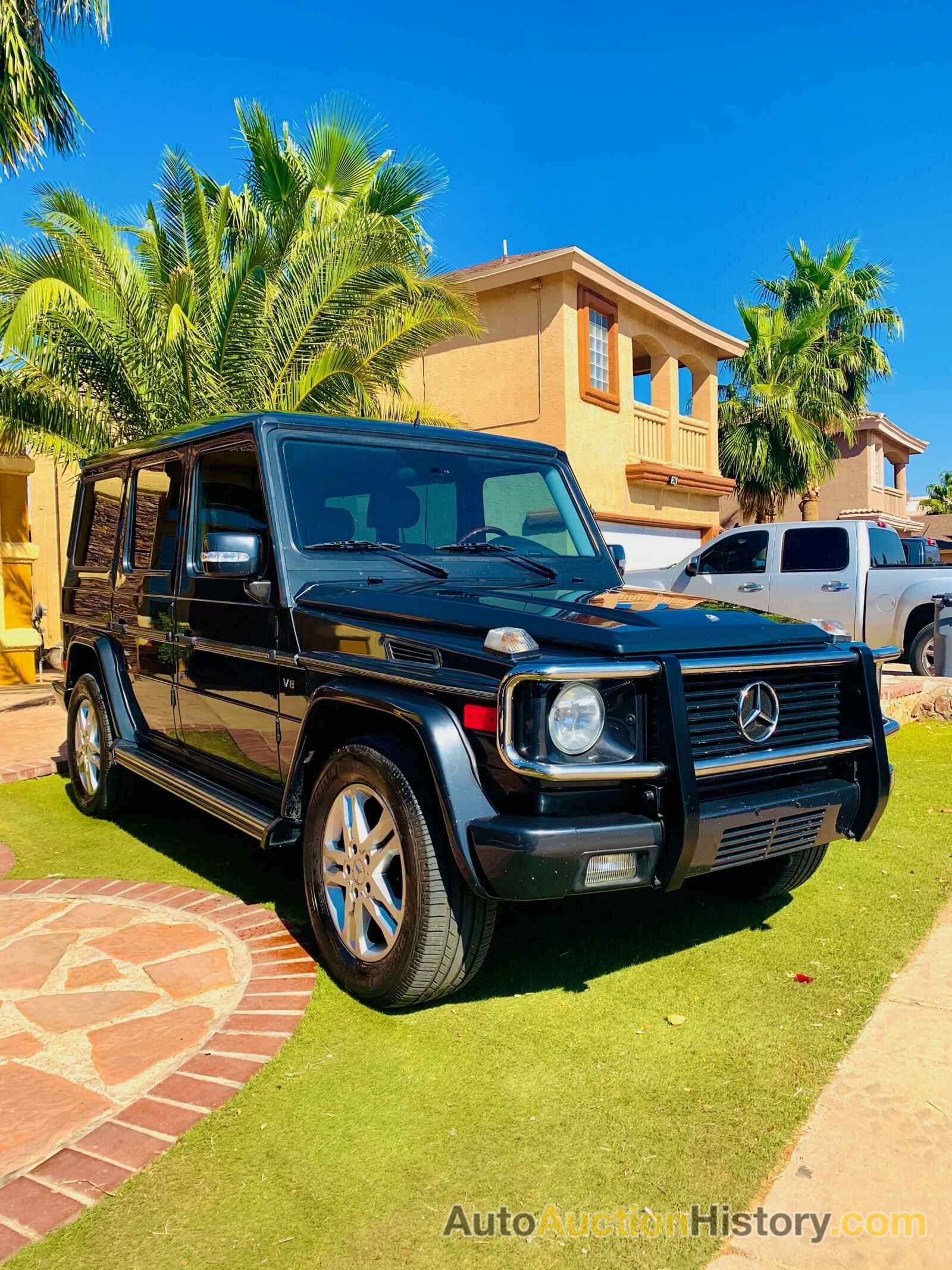 2003 MERCEDES-BENZ G CLASS 500, WDCYR49E13X141387