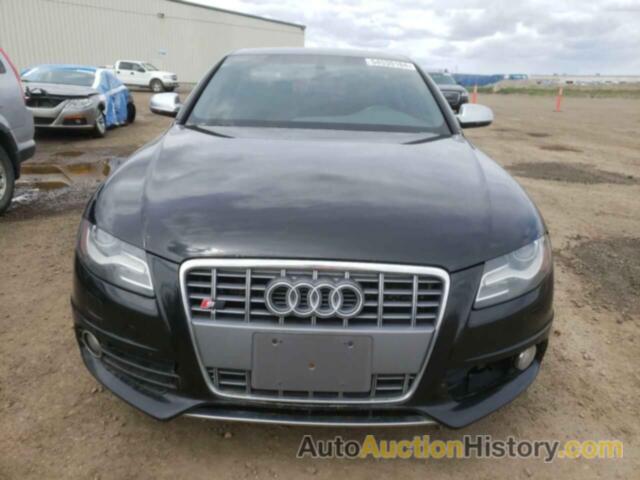 AUDI S4/RS4 PREMIUM PLUS, WAUDGCFL3CA072516