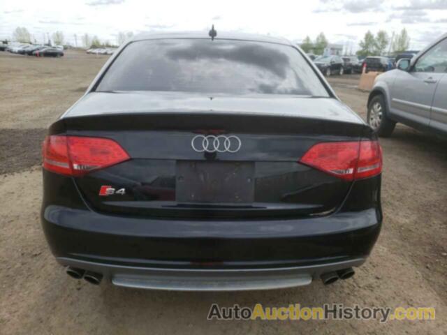 AUDI S4/RS4 PREMIUM PLUS, WAUDGCFL3CA072516