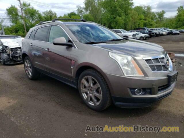 CADILLAC SRX PERFORMANCE COLLECTION, 3GYFNEE34CS512718