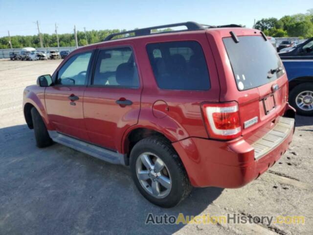 FORD ESCAPE XLT, 1FMCU9DGXBKA74350