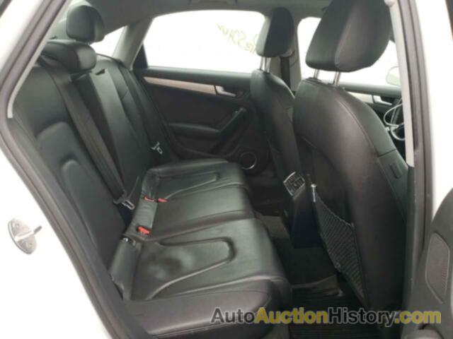 AUDI A4 PREMIUM PLUS, WAUFFAFL9DN034573