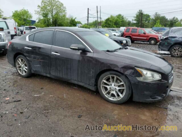 NISSAN MAXIMA S, 1N4AA5AP7BC836910