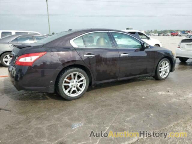 NISSAN MAXIMA S, 1N4AA5AP3BC807937