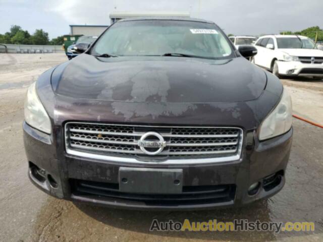 NISSAN MAXIMA S, 1N4AA5AP3BC807937