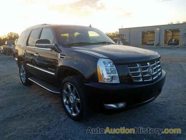 2013 CADILLAC ESCALADE L LUXURY, 1GYS4BEF7DR159342