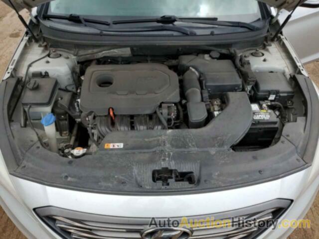 HYUNDAI SONATA SPORT, 5NPE34AF6FH051666