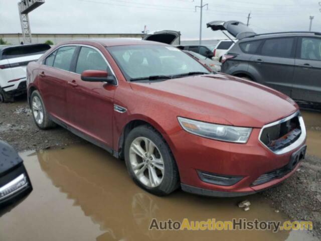 FORD TAURUS SEL, 1FAHP2E86EG113268