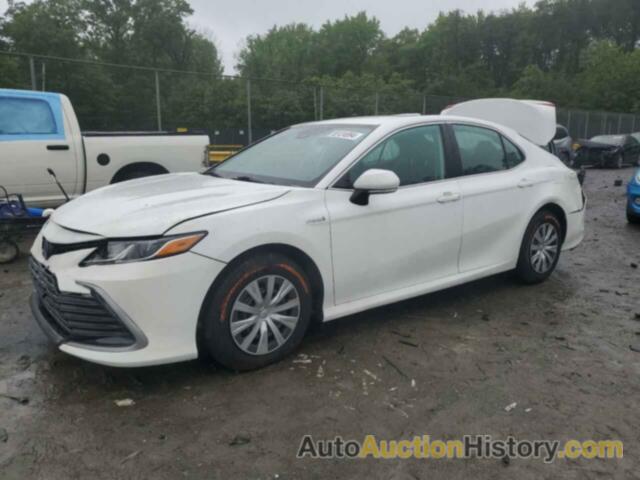 TOYOTA CAMRY LE, 4T1C31AK9MU021210