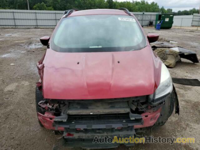 FORD ESCAPE SE, 1FMCU0GXXEUC49311