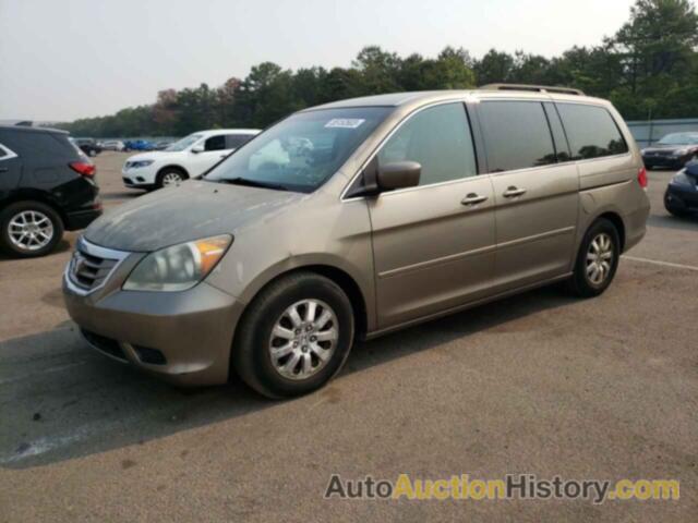 HONDA ODYSSEY EX, 5FNRL384X9B005776