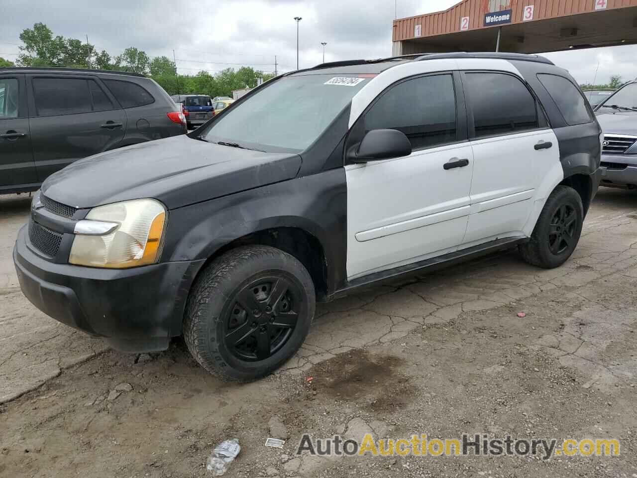 CHEVROLET EQUINOX LS, 2CNDL23F756035407