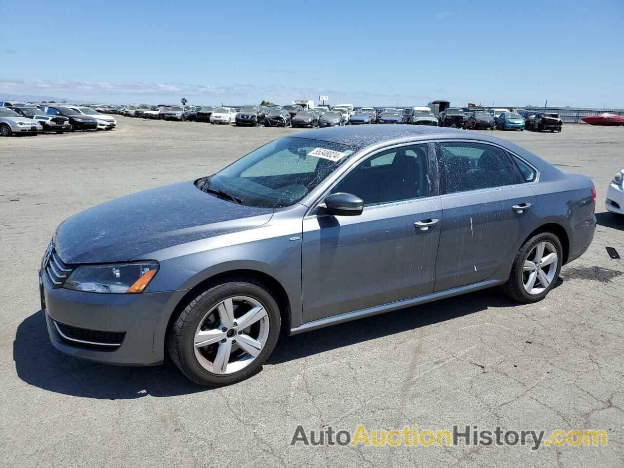 VOLKSWAGEN PASSAT S, 1VWAT7A32EC039723