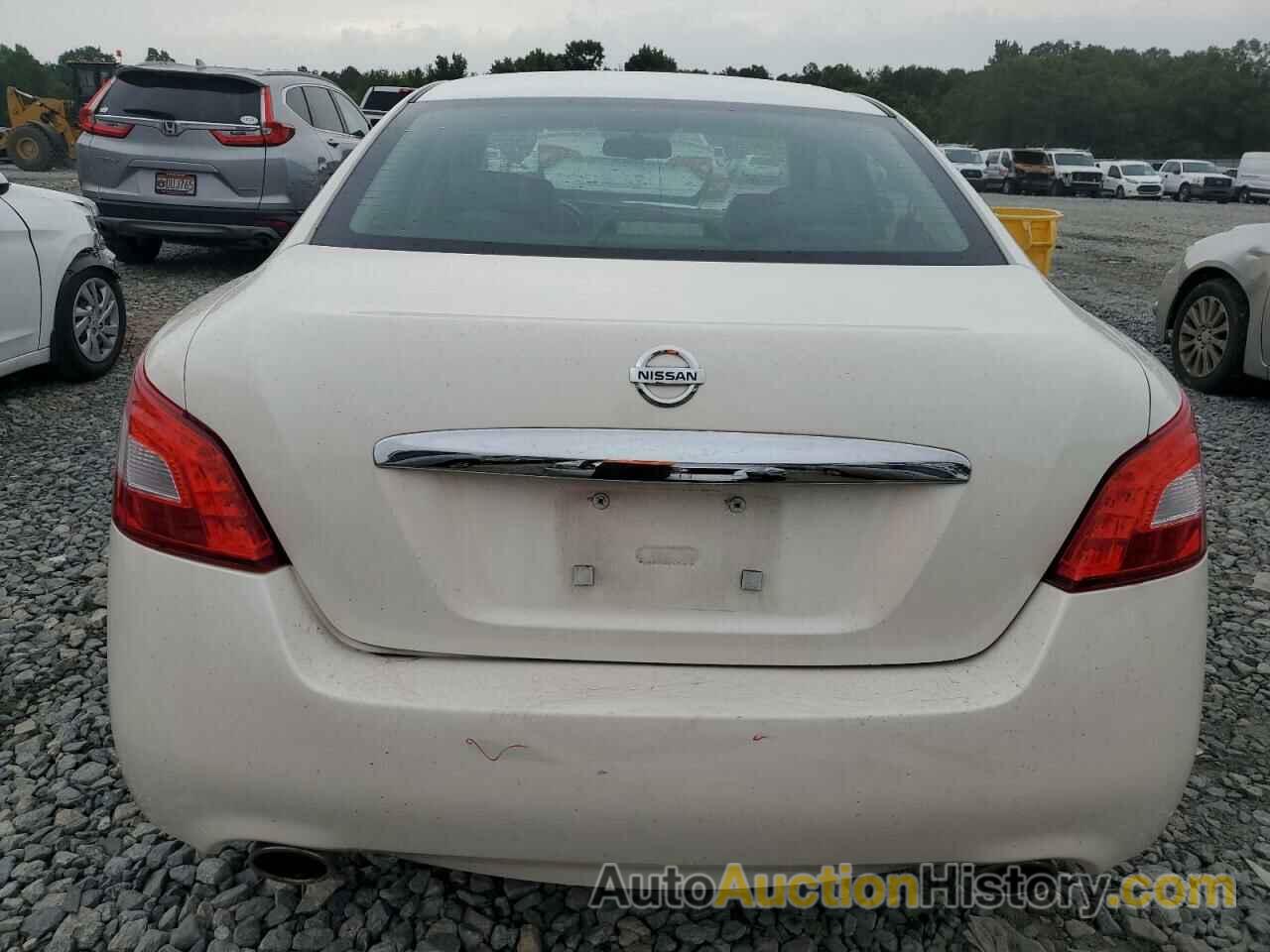 NISSAN MAXIMA S, 1N4AA5AP5BC818440