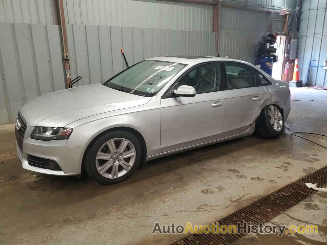 AUDI A4 PREMIUM, WAUBFAFL3BN035634