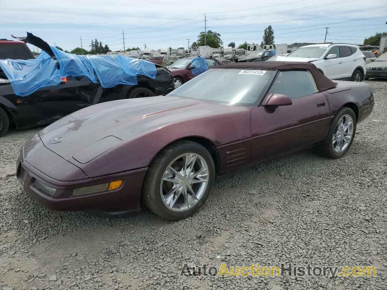 1990 CHEVROLET CORVETTE, 1G1YY338XL5116854