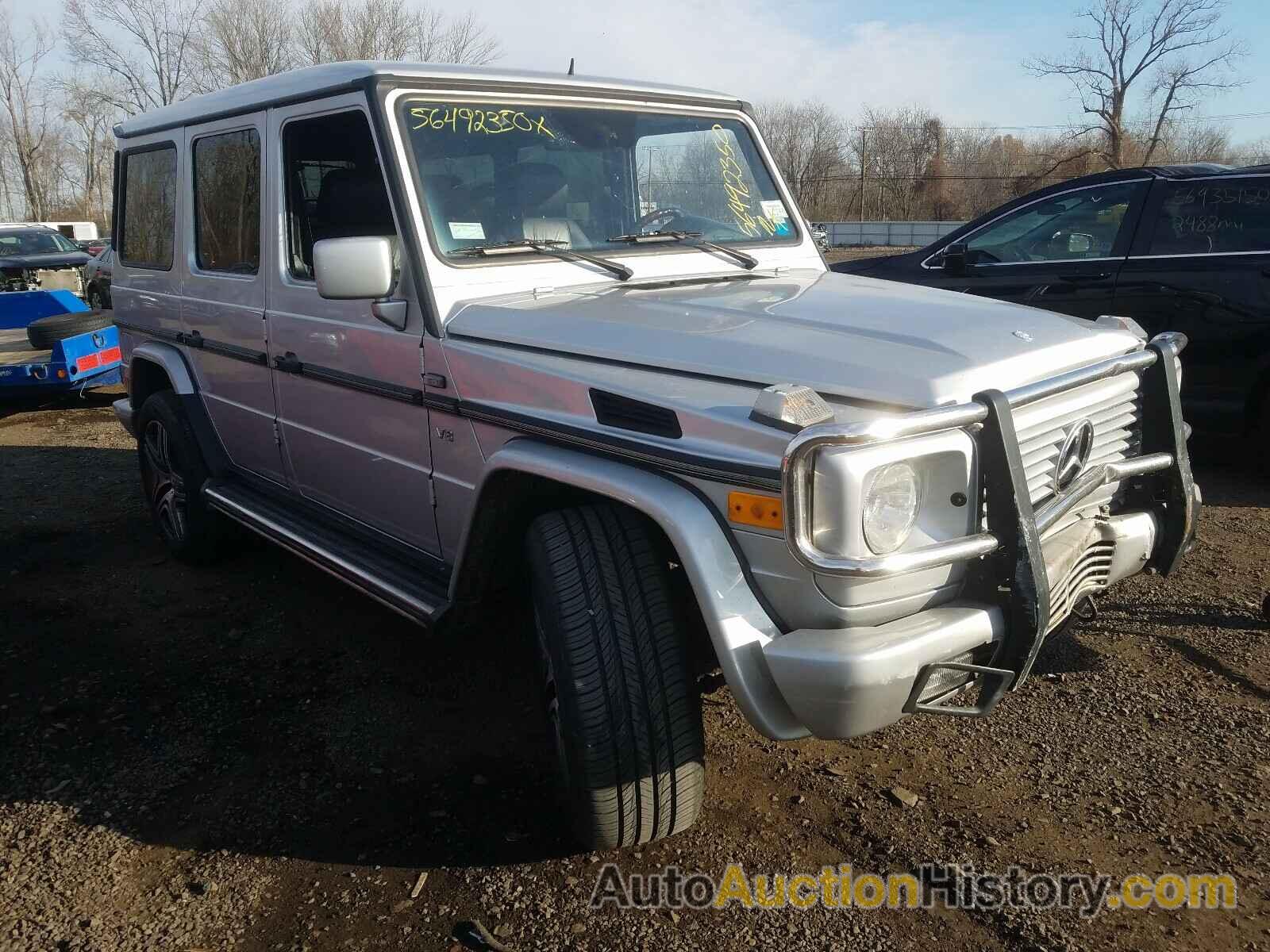 2002 MERCEDES-BENZ G CLASS 500, WDCYR49E82X132488