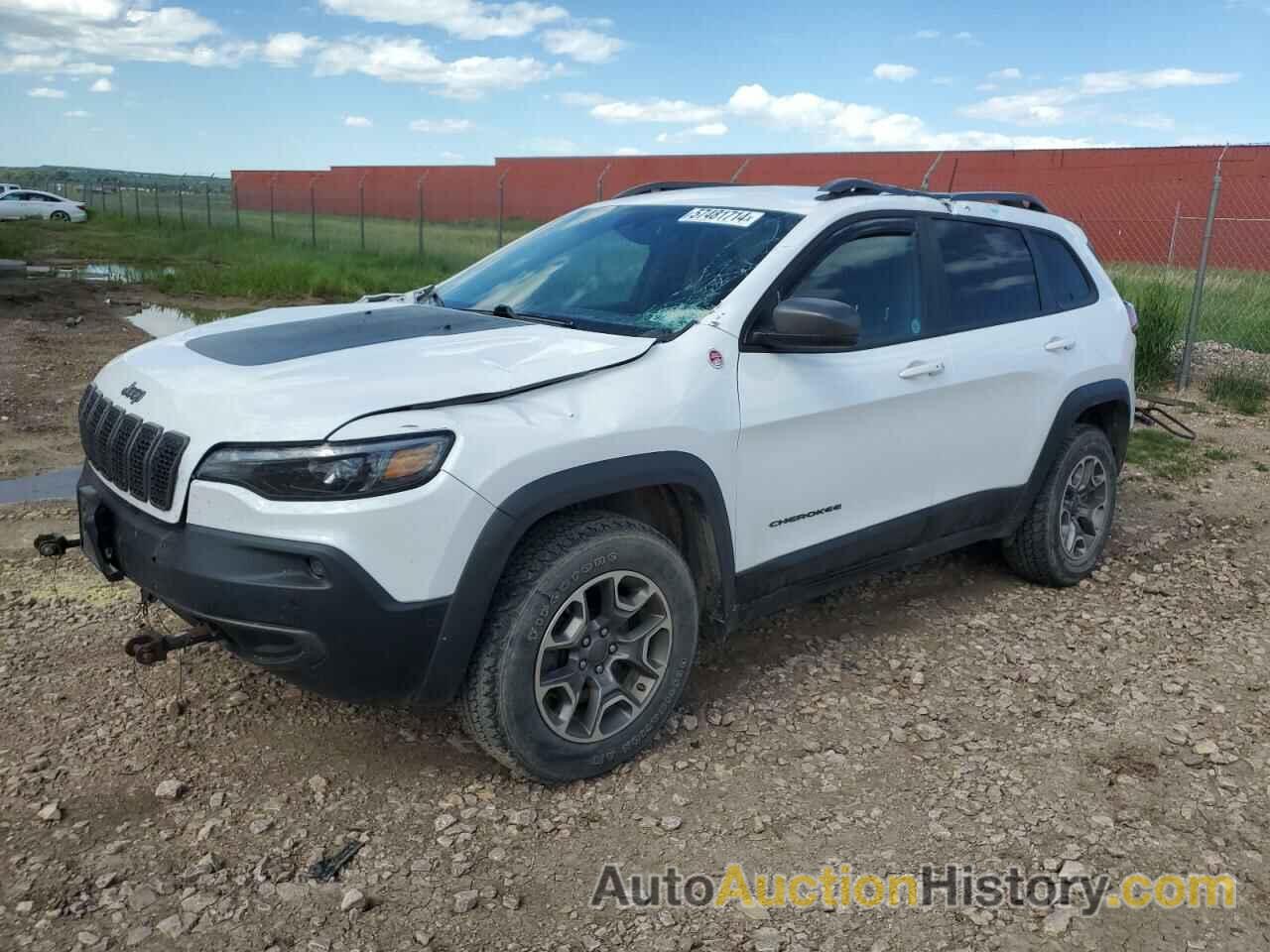 JEEP CHEROKEE TRAILHAWK, 1C4PJMBXXLD627119