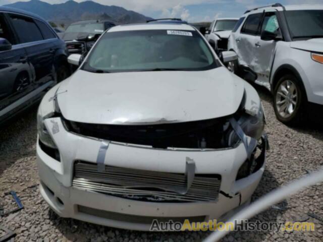 NISSAN MAXIMA S, 1N4AA51E39C854488