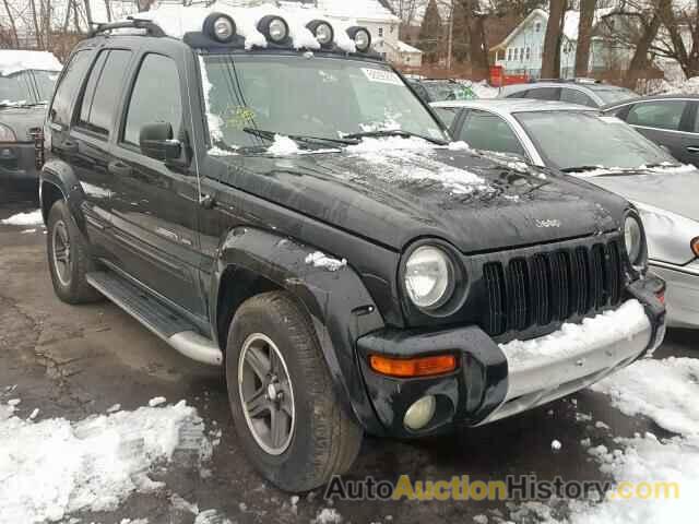 2003 JEEP LIBERTY RE RENEGADE, 1J4GL38K53W581147