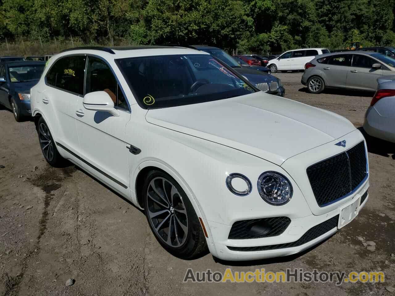 2019 BENTLEY ALL MODELS, SJAAM2ZV4KC025229