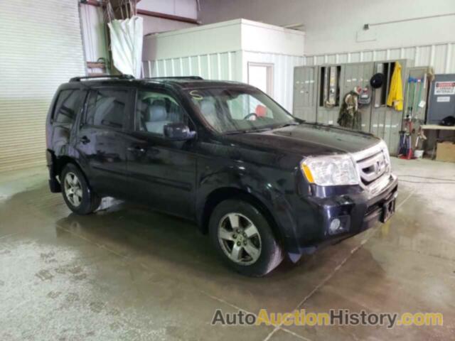 HONDA PILOT EXL, 5FNYF4H59BB073557