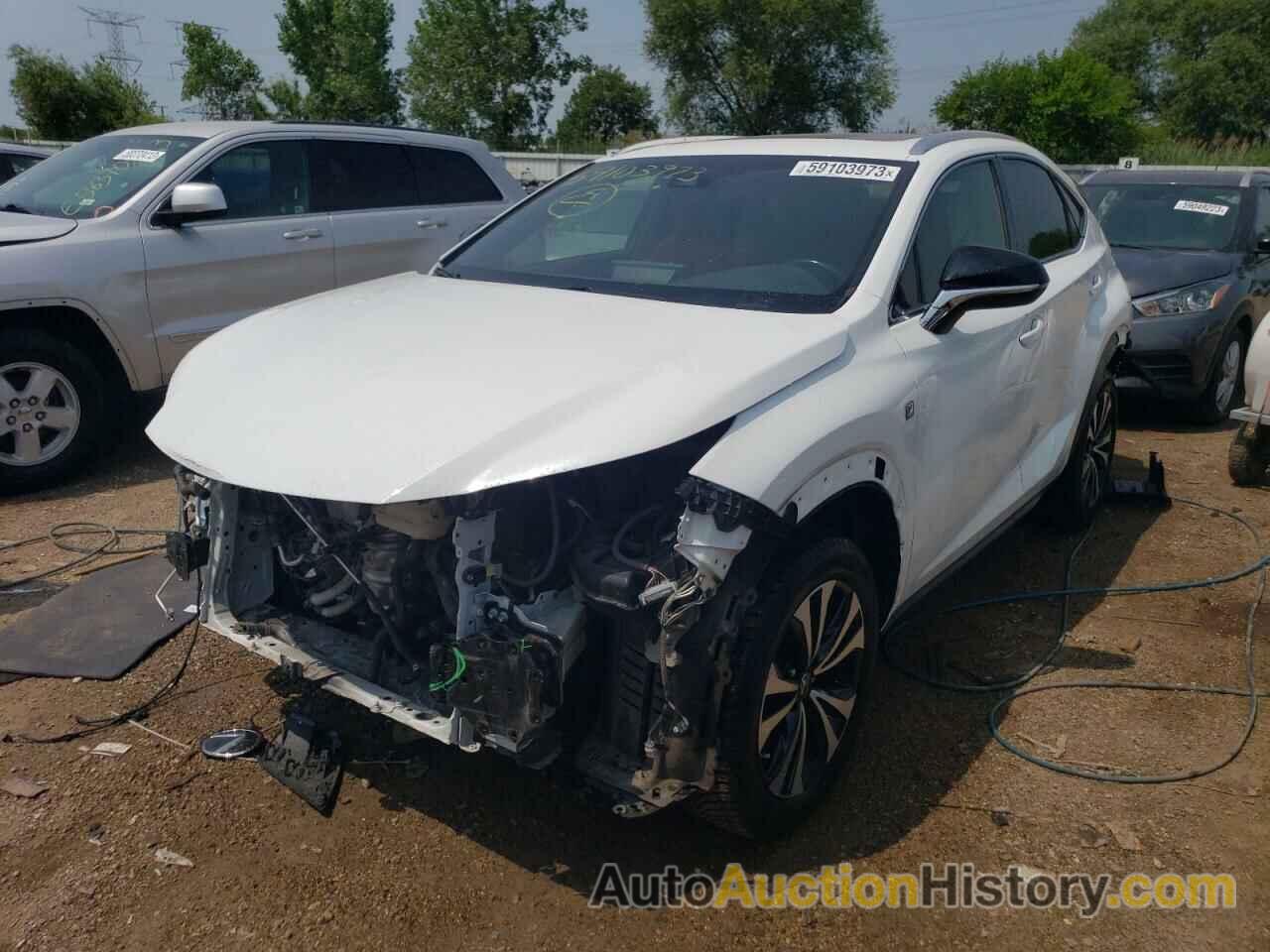 2019 LEXUS NX 300 BASE, JTJBARBZ9K2200983