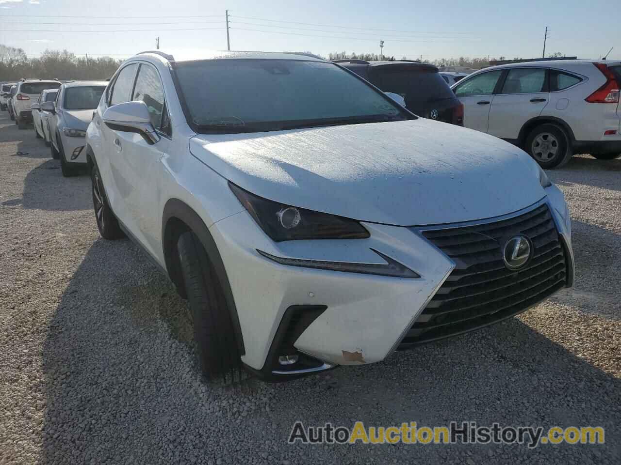 2019 LEXUS NX 300 BASE, JTJYARBZXK2154302