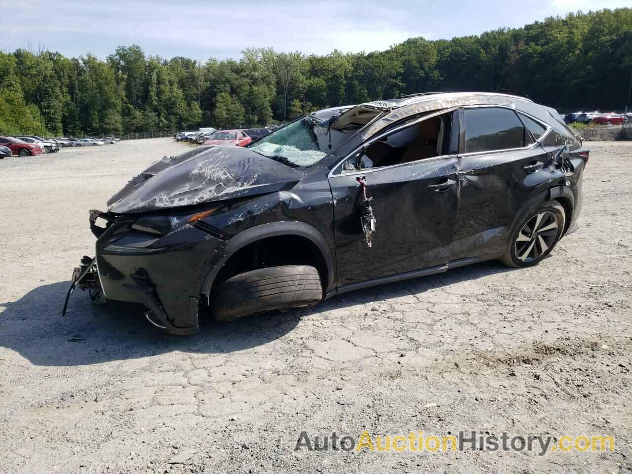 LEXUS NX 300 BASE, JTJBARBZ8J2178912