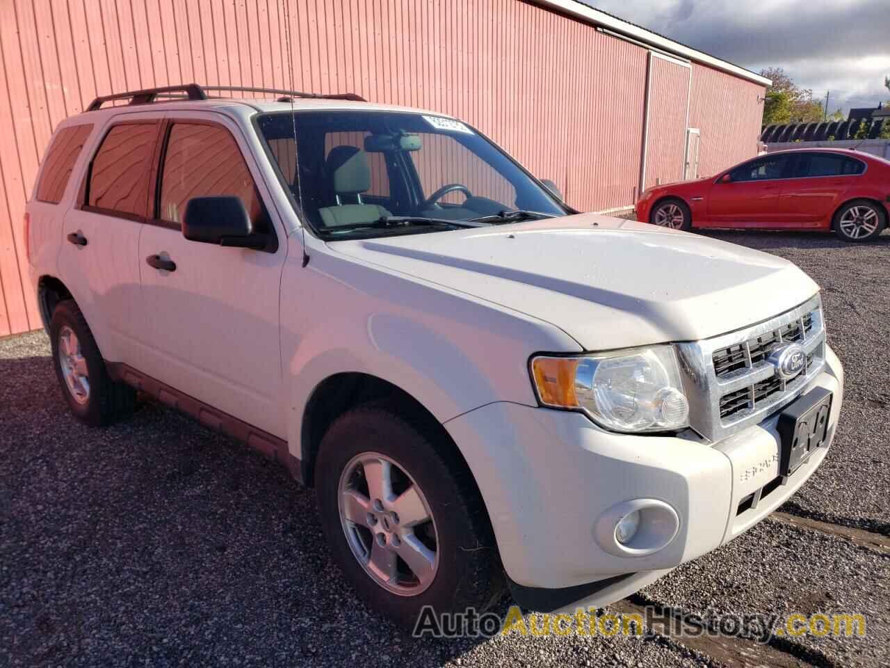 2011 FORD ESCAPE XLT, 1FMCU9D70BKB30425