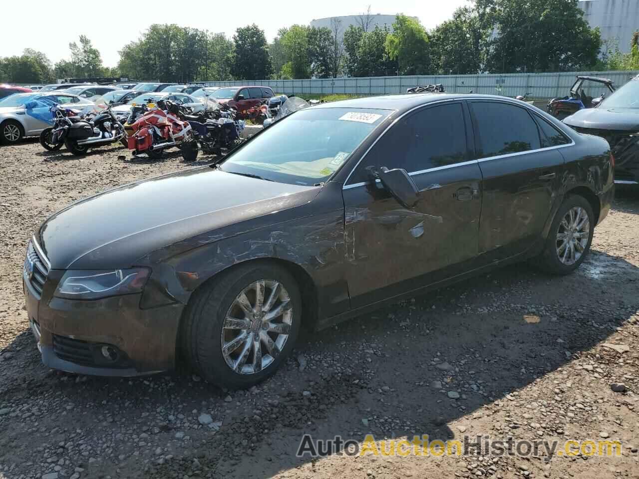 2011 AUDI A4 PREMIUM PLUS, WAUFFAFL7BN014318