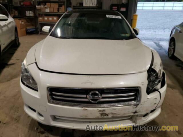 NISSAN MAXIMA S, 1N4AA5AP9DC838564