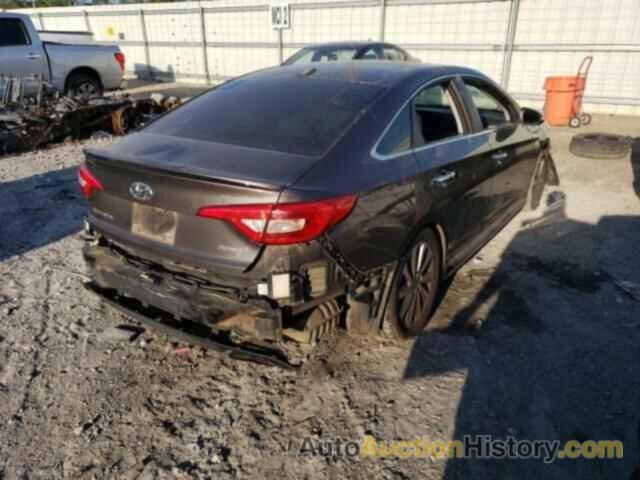 HYUNDAI SONATA SPORT, 5NPE34AF2GH323020