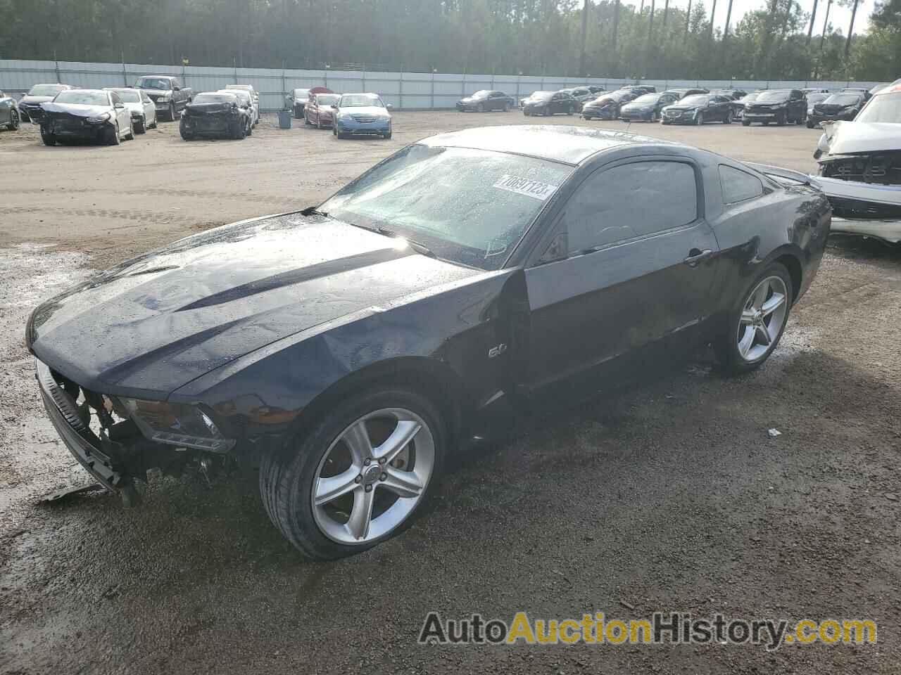 FORD MUSTANG GT, 1ZVBP8CF3C5242434