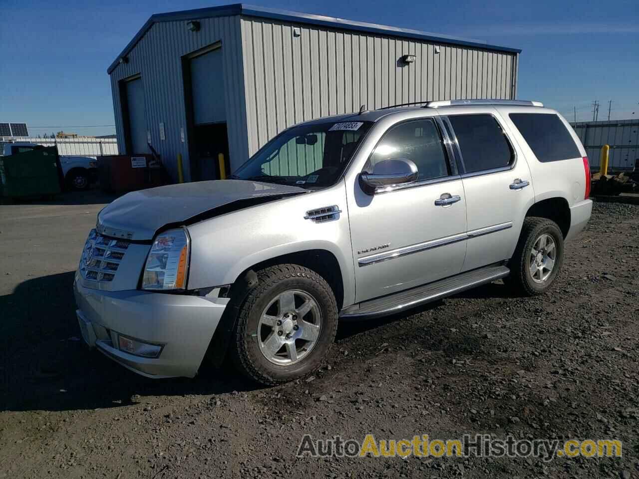 2010 CADILLAC ESCALADE LUXURY, 1GYUKBEF5AR261927