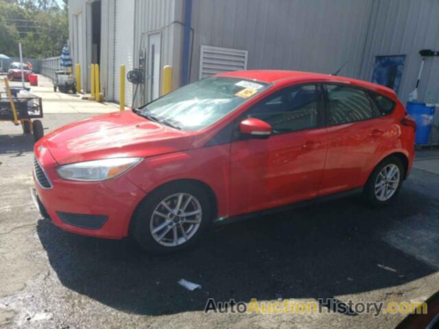 FORD FOCUS SE, 1FADP3K2XFL233085