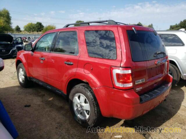 FORD ESCAPE XLT, 1FMCU9DG1BKA91439