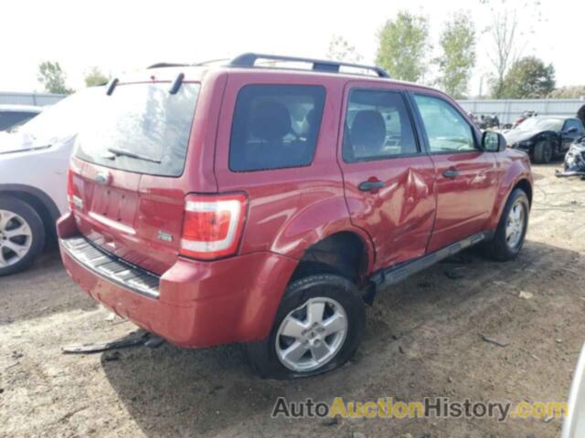 FORD ESCAPE XLT, 1FMCU9DG1BKA91439