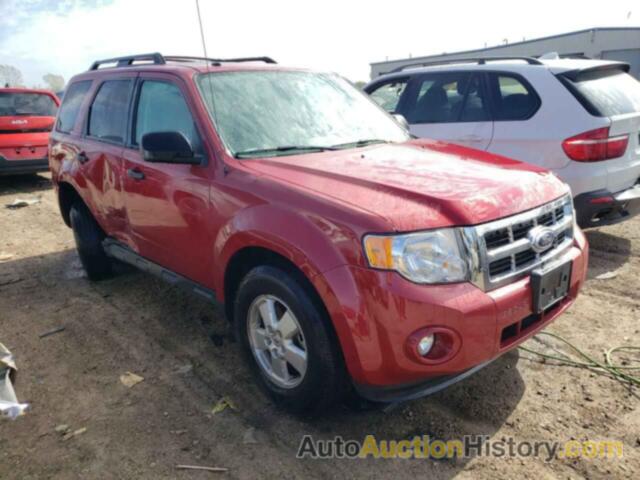 FORD ESCAPE XLT, 1FMCU9DG1BKA91439