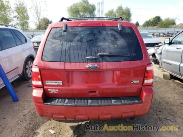 FORD ESCAPE XLT, 1FMCU9DG1BKA91439